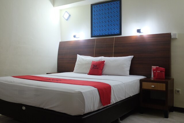 レッドドアーズ プラス ニア スネン