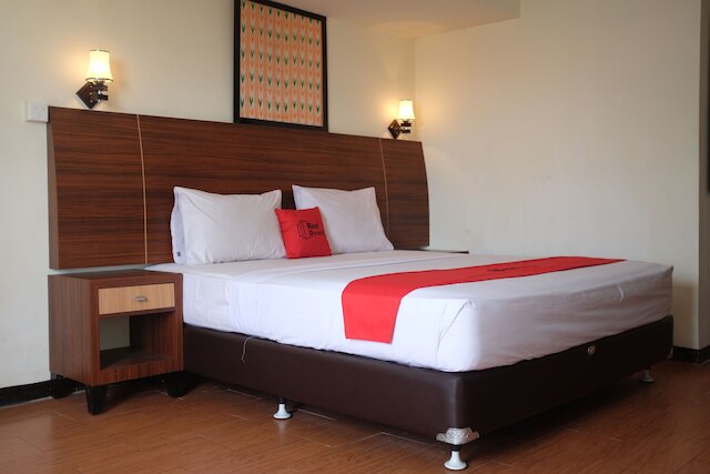 レッドドアーズ プラス ニア スネン