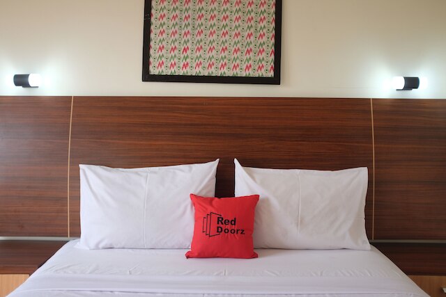 レッドドアーズ プラス ニア スネン