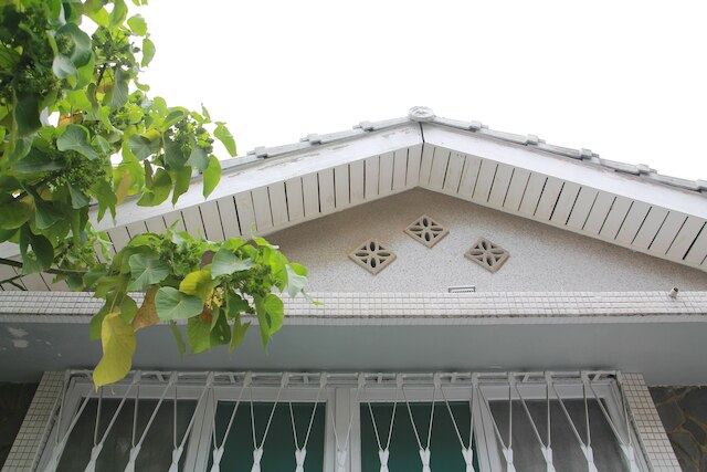 マッカーサー (麥克阿舍台南老屋民宿)