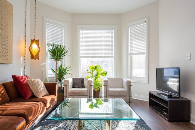 シック ローガン パッド - モダン ミーツ レトロ