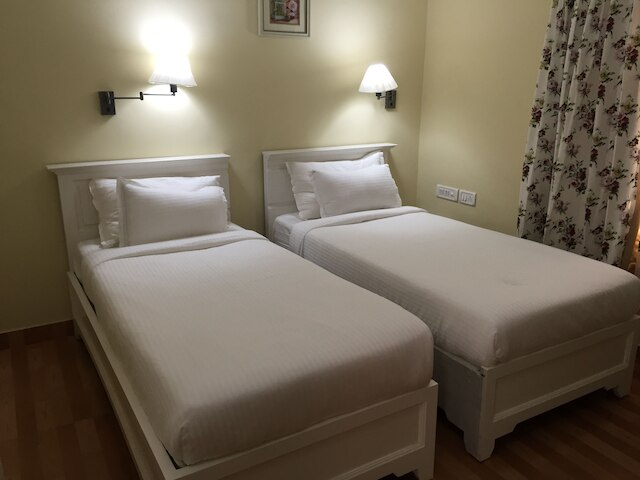 ダッファディルズ スパイス コート