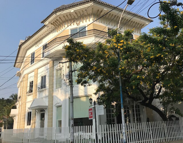 ダッファディルズ スパイス コート