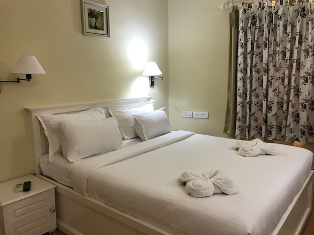 ダッファディルズ スパイス コート