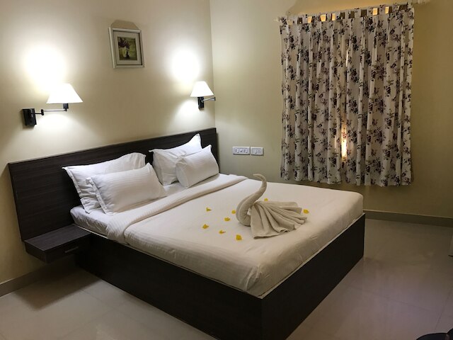 ダッファディルズ スパイス コート