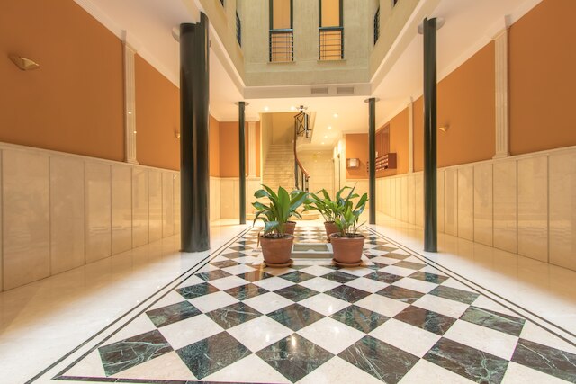 アパルタメントス レコヒダス 10