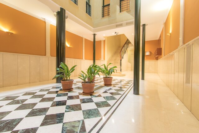 アパルタメントス レコヒダス 10