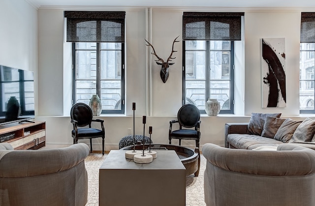 ザ セント ロフツ