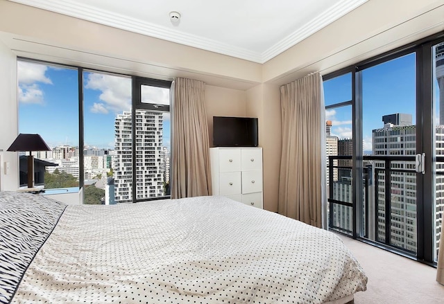 メトロポリス 2 ベッドルーム パーク スイート