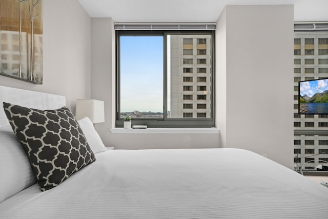 ブルーバード スイーツ ニア パス