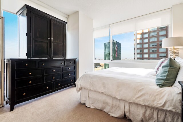 ブルーバード スイーツ イン ジャージー シティ