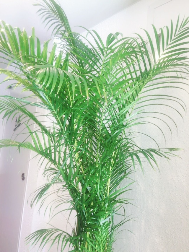 ホテル オクシオ