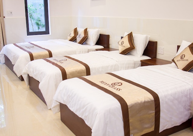 ビーン グラス ホームステイ