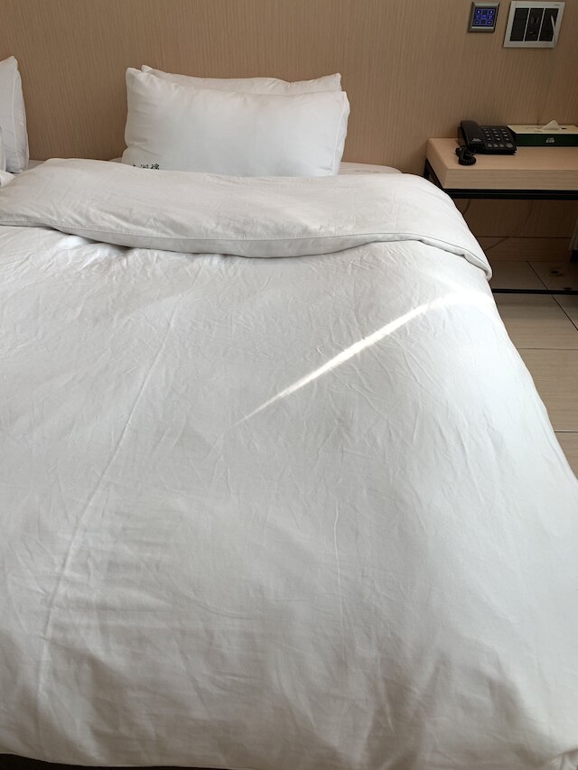 タイフー ホテル サン ムーン レイク (日月潭泰湖樓)