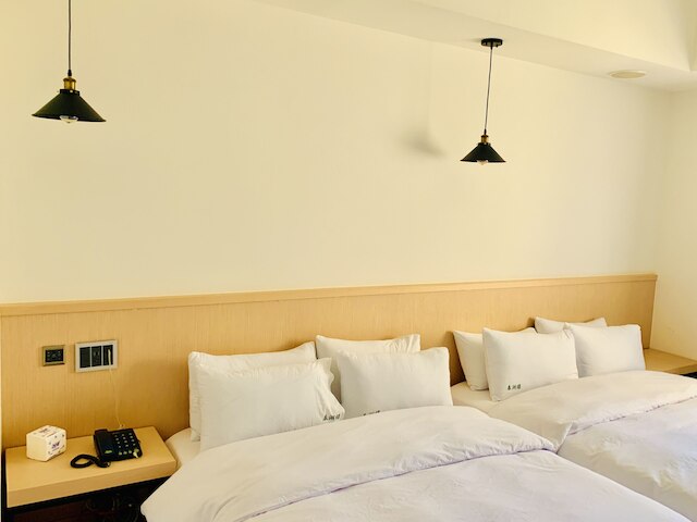 タイフー ホテル サン ムーン レイク (日月潭泰湖樓)