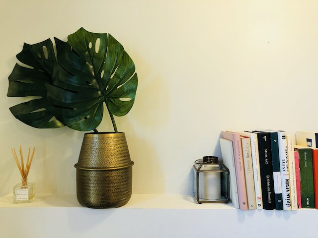 カーサ ヴァガント