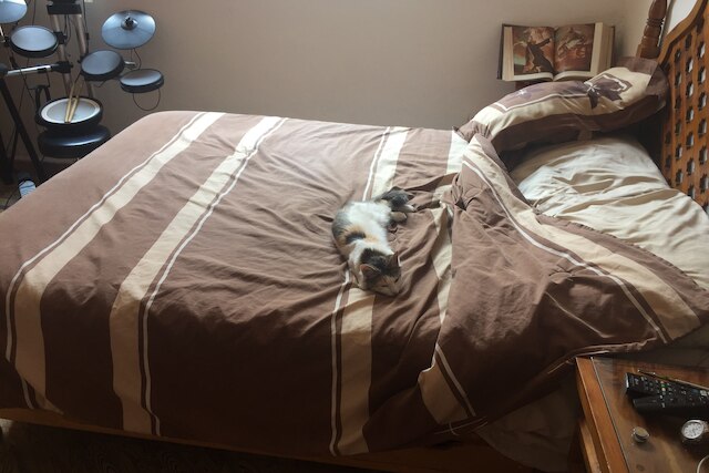 2 ベッドルーム ハウス