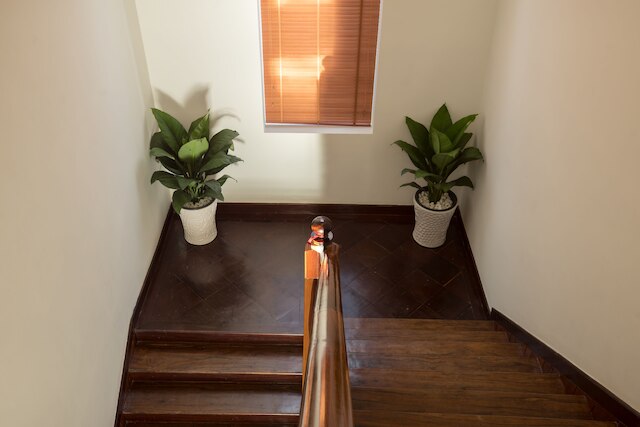 クリシュナ ヴィラ シエム リアップ