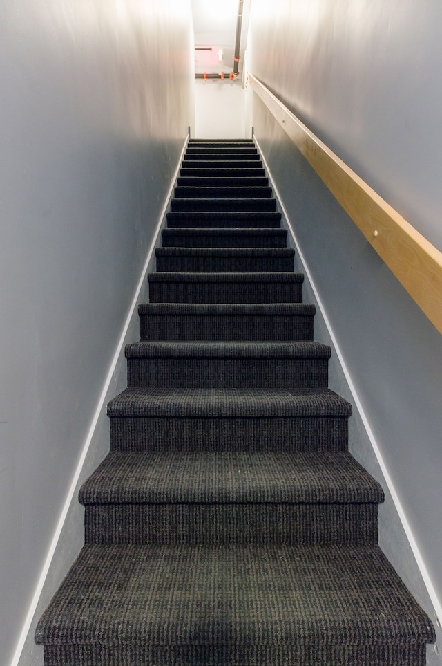 レ ロフ ドゥ ビュード バイ レ ロフ ヴューケベック