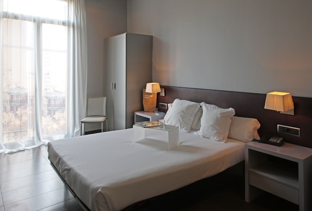 チク & ベーシック ズー