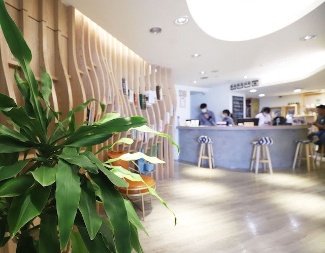 ユニーク ホテル - ドリーム 12 ホテル (Unique Hotel - 夢想 12 旅店)