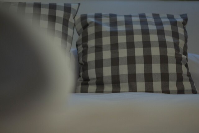 トゥゲスト アパートメント レアレホ