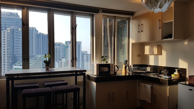 ザ ピーク タワー イン ハート オブ マカティ CBD