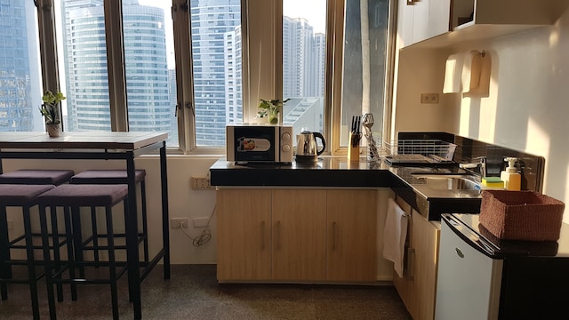 ザ ピーク タワー イン ハート オブ マカティ CBD