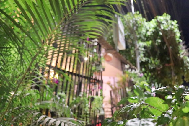 アンコール サングリス ホステル