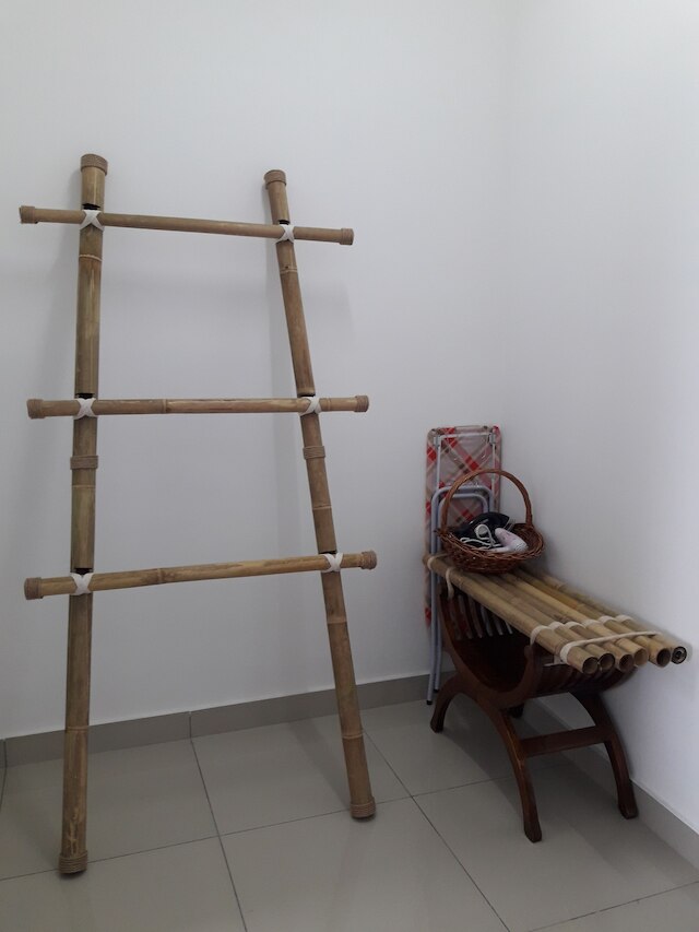 タンポイ ホームステイ