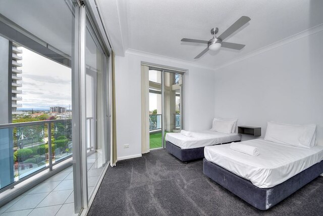 GCA シェブロン ルネッサンス