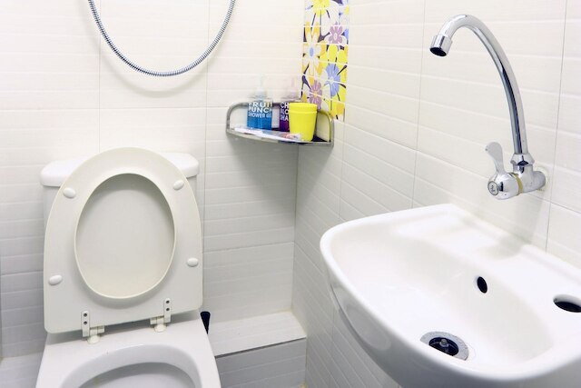 サファリ ホテル