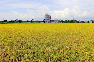 ウダイ ホームステイ (無待民宿)