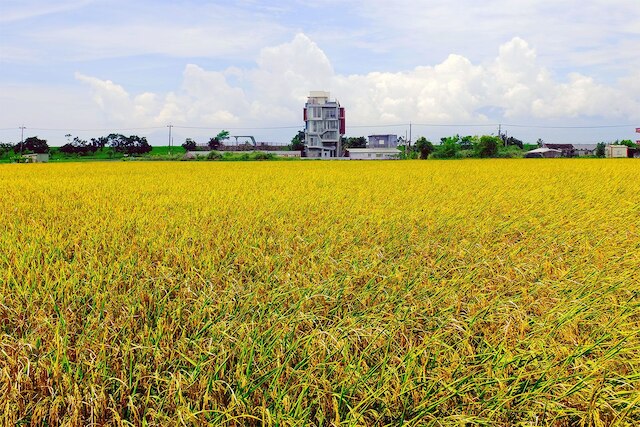 ウダイ ホームステイ (無待民宿)