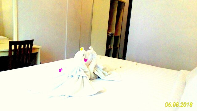 ディアナプラ シティ ホテル