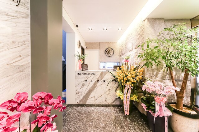 チェリッシュ ホテル