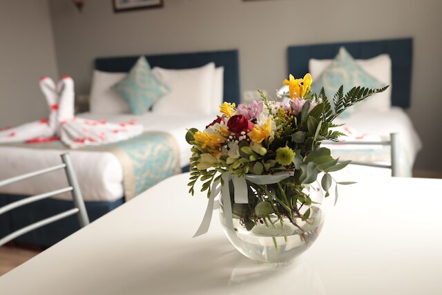 ホワイト パール アパート