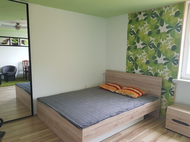 アパートメント プウォツカ 4