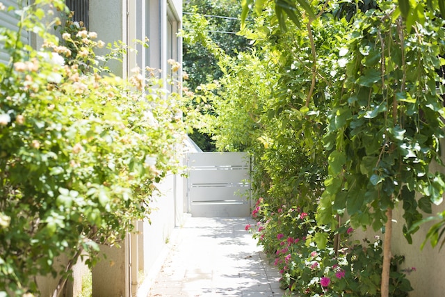 ヴィラ イン TLV、広い庭とプールあり