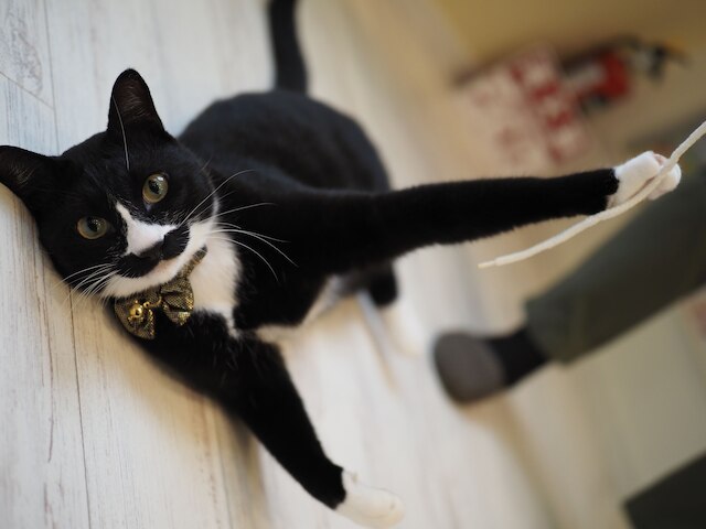 ゲストハウス ORIORI