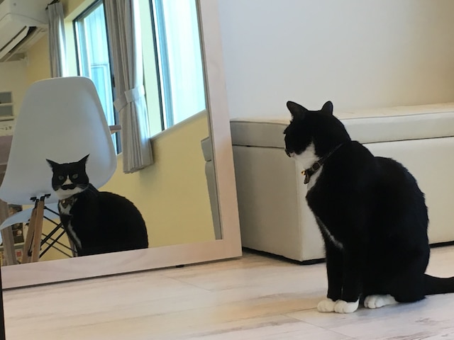 ゲストハウス ORIORI