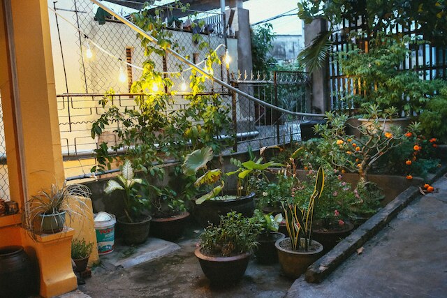 ハーブズ ハウス