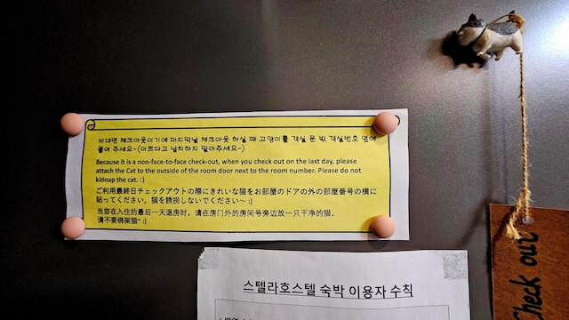 ステラ ホステル