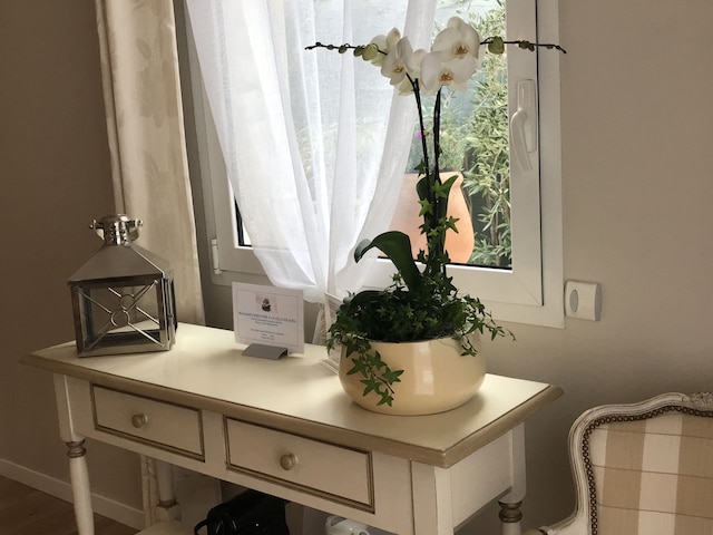 ヴィラ キラウエア B&B