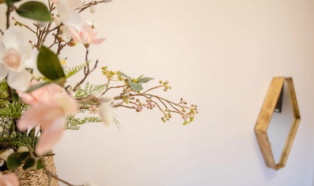 ホステル バニラ スイート 3 東大門