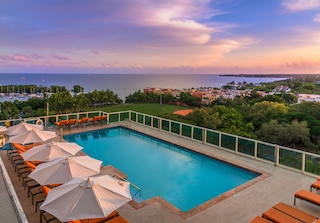 マイアミ バケーション レンタルズ - ココナッツ グローブ