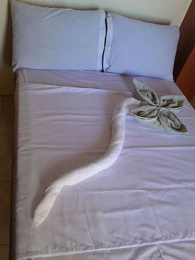 N & F ゲスト ハウス