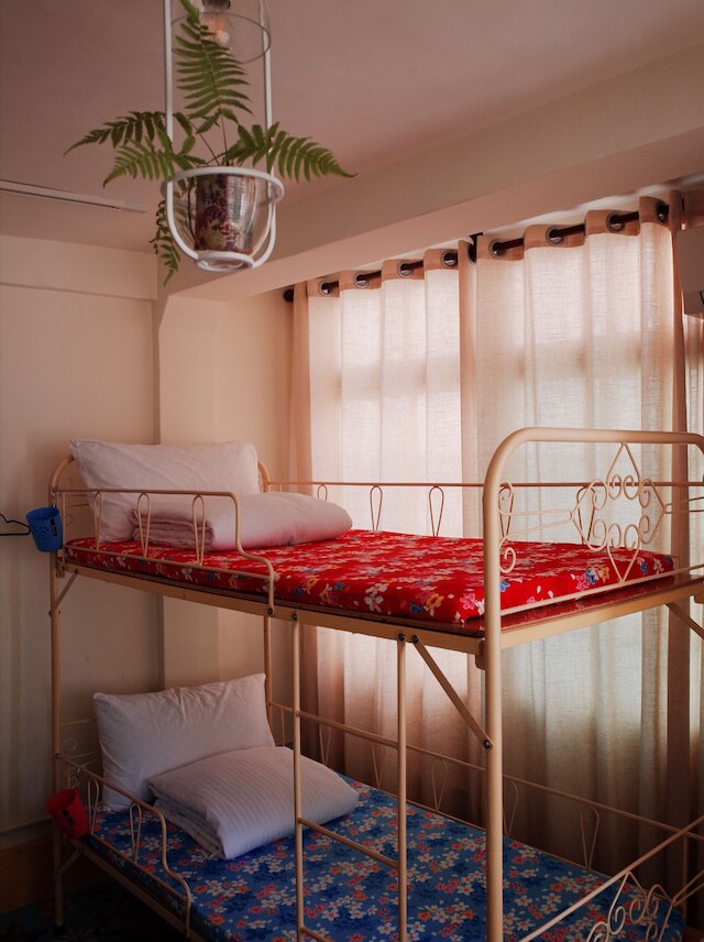 ニート ホステル