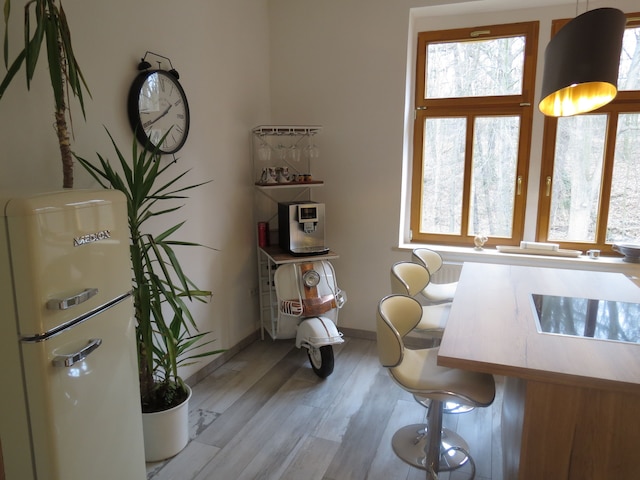 ドミチィル アドラー