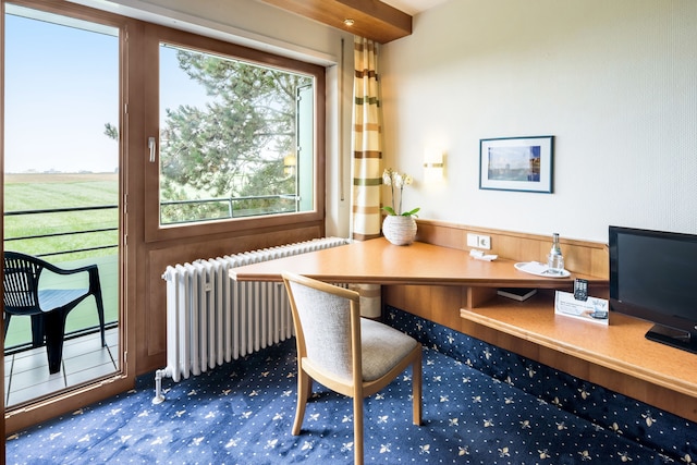 ケムナーターホーフ -アパートメンツ-